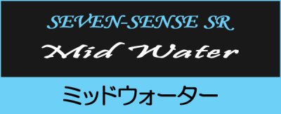 画像1: ■ MID WATER ＜ Wading custom ＞　